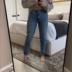 Abercrombie & Fitch The Mom High Rise Jean Denim Curve Love